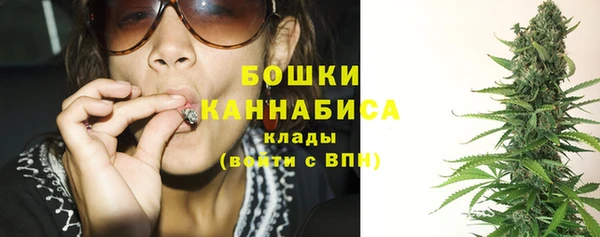 спайс Гусь-Хрустальный