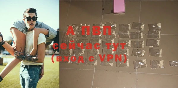 винт Гусиноозёрск