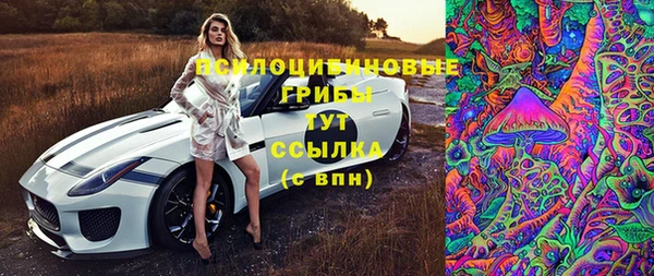 спайс Гусь-Хрустальный