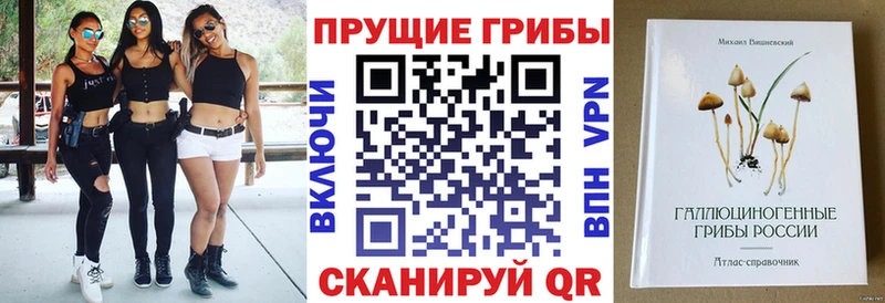Псилоцибиновые грибы мицелий  Кудрово 