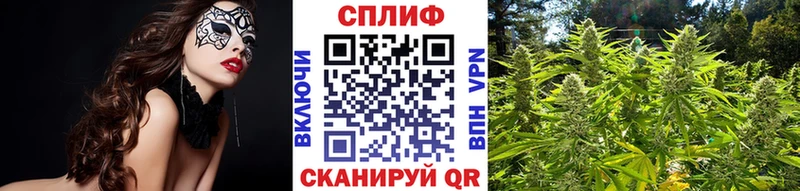 Конопля индика  Кудрово 